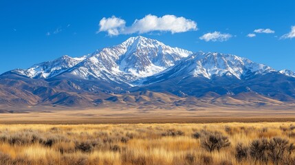 Fototapeta premium Majestic Snow-Capped Mountain Overlooking Expansive Golden Fields