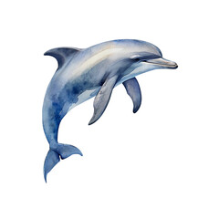 Watercolor Painting of a Bottlenose Dolphin, Transparent Background