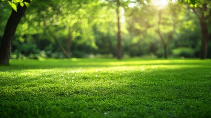 Naklejka premium Sun Drenched Meadow: A vibrant green meadow basks in the warm glow of the sun, its lush grass swaying gently in the breeze. The trees in the background create a serene backdrop.