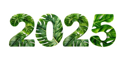 2025 new text effects isolated on white background