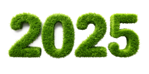 green grass 2025 new text effects isolated on white background
