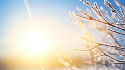 Winter's Embrace:  A frosty branch stands silhouetted against a radiant sunrise, capturing the crisp beauty of a winter morning.  