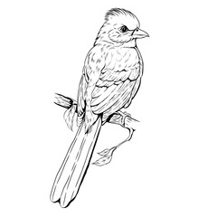 illustration of a bird on a branch for tattoo inspiration