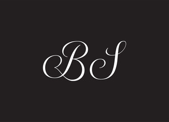 BS letter logo and initial logo design