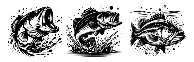 Naklejka premium collection of bass fish with water splashes in black silhouette