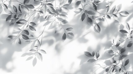 Monochrome leaf shadows on white background. (3)