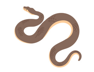 Obraz premium Brown snake with a winding body and detailed scales. Simple cartoon animal design. Good for reptiles or nature images. Vector illustration isolated on white background