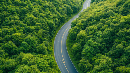 Scenic winding road through lush green forest, perfect for nature travel, adventure seekers, and exploring picturesque countryside landscapes.