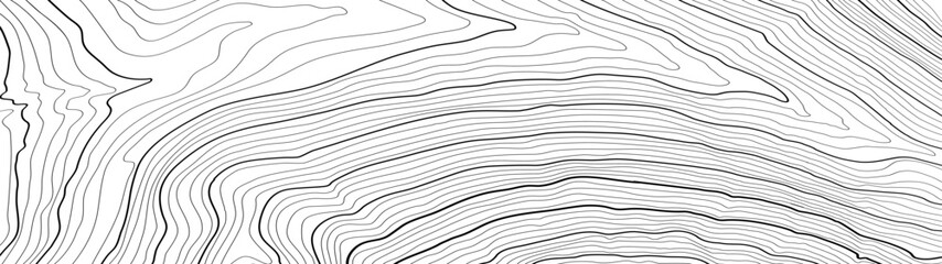 white wood texture