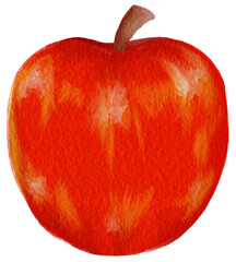 red apple watercolor