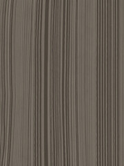 Obraz premium Exotic Grey Wenge Wood Veneer Features A Unique Texture With Subtle Patterns And Rich Tonal Variations Throughout Its Surface. 00001