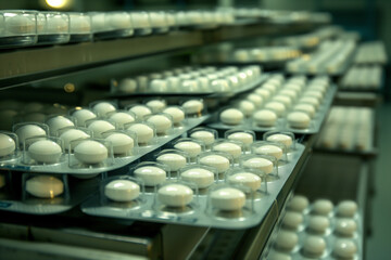 Obraz premium Blister Pack of Pills for Healthcare and Medicine, Modern Pharmaceutical Packaging for Prescription Drugs, Close-Up of Organized Medication Storage