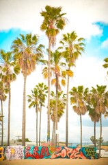 Fototapeta premium beach with palm trees