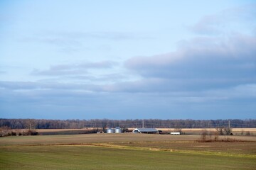 landscape with cows and clouds