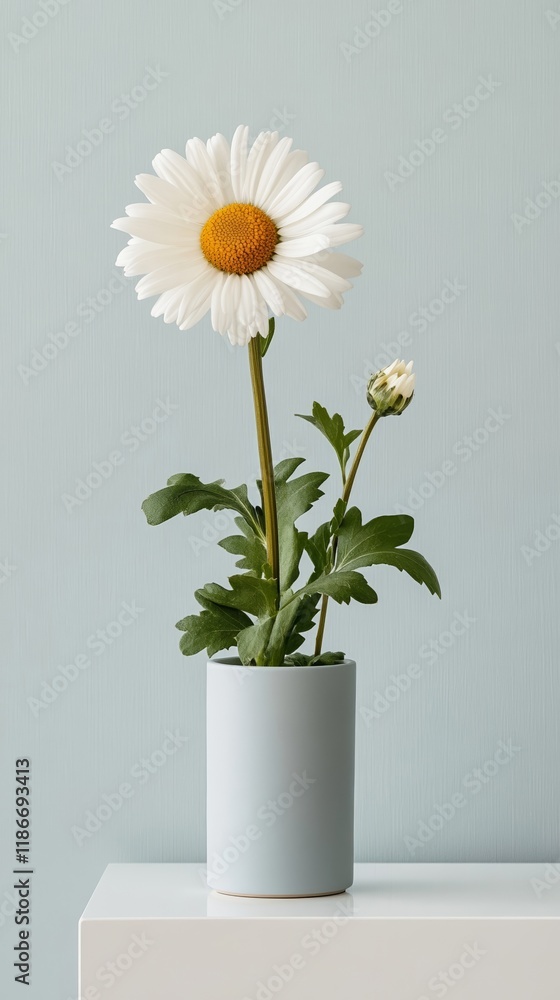 Poster a delicate white daisy with a subtle golden center resting on a matte white background creating a ti