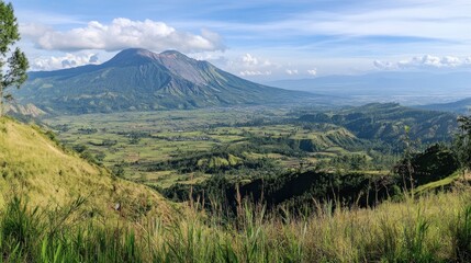 Fototapeta premium Expansive Mountain View with Lush Green Fields