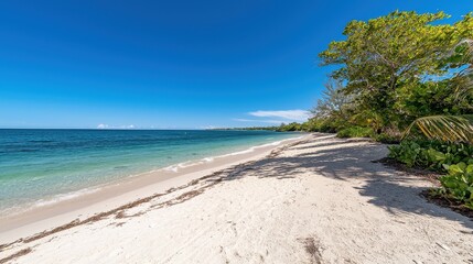 Serene Tropical Beach Scene Idyllic Coastal Paradise Sunny Day Vacation Getaway