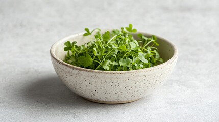 Fresh garden cress in a small ceramic bowl, isolated on a light gray backdrop