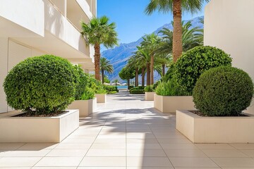 Mediterranean Resort Pathway Palm Trees Sunny Day Luxury Vacation