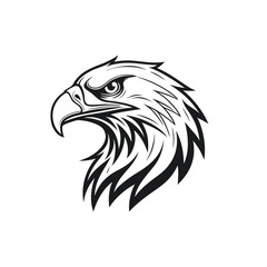 Obraz premium eagle head illustration