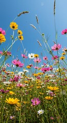 Vibrant Wildflowers Blooming Under a Clear Blue Sky in a Sunny Meadow