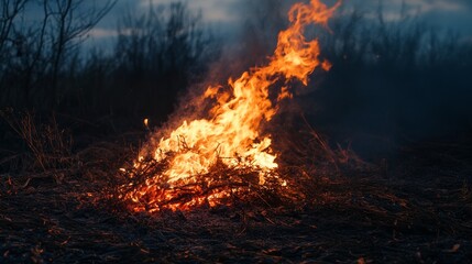 A bonfire made of dry plants burns brightly, creating a captivating scene with fire and smoke rising from the land plot, illustrating the essence of a bonfire in nature.