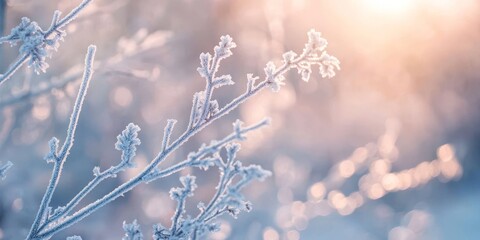 Fototapeta premium Frozen field vegetation captured in macro detail during winter. The image highlights frozen branches amidst a softly focused scene, showcasing the beauty of frozen field flora in the cold season.