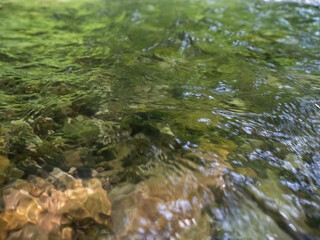 The river, with its rapid flow and majestic cliffs, creates a breathtaking landscape, reflecting the strength and beauty of the wild nature