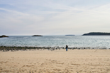 Sand beach in Acadia National park is a large beach. A single female stands on the beach viewing the waves, surrounded by scenic nature.