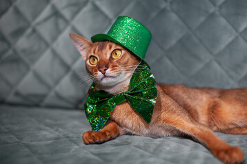 Happy St. Patrick's Day. A funny cat in a green leprechaun hat and a bow tie. Celebration in Ireland
