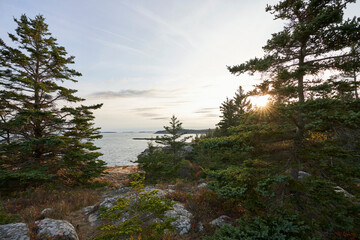 Sun beams through the northern evergreen vegetation on the Acadia National Park coastline. Its a beautiful sunny day, and the ocean is calm and vast.