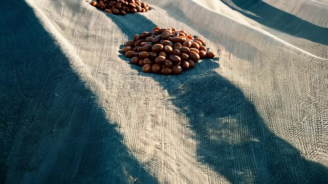 Dramatic dolly backward video of a scattering of pinto beans on rough linen cloth, strong shadows, side lighting, speckled pattern, depth