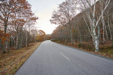 The loop road runs the perimeter of Acadia National Park. Its a beautiful drive in the fall, when the autumn foliage is colorful and vibrant. It's a two lane road.