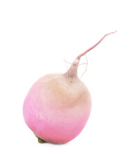 One fresh ripe turnip isolated on white