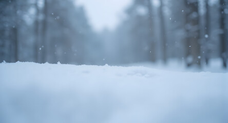 Snowdrift in Winter Forest