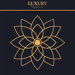 luxury traditional religious mandala art