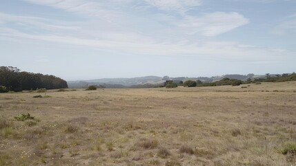Fototapeta premium Expansive dry grassland under a partly cloudy sky, with distant hills and trees.