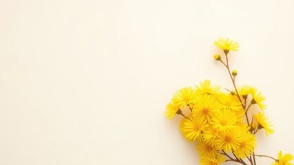 A delicate bouquet of vibrant yellow flowers arranged on a soft, off-white background, creating a serene and elegant aesthetic.