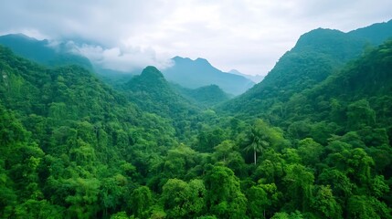Obraz premium Panoramic View of Lush Green Mountains and Clouds in Tropical Rainforest Landscape : Generative AI