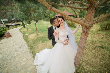 A bride and groom are hugging under a tree. The bride is wearing a white dress and the groom is...