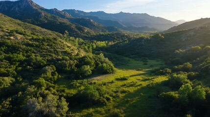 Scenic Mountain Valley Landscape with Lush Greenery under Clear Blue Sky : Generative AI