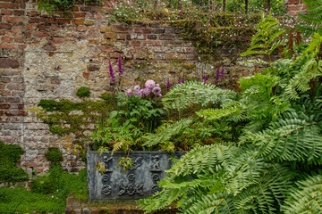 bepflanzter Blumentopf vor einer Mauer