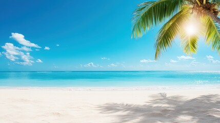 A beautiful beach with a palm tree in the foreground