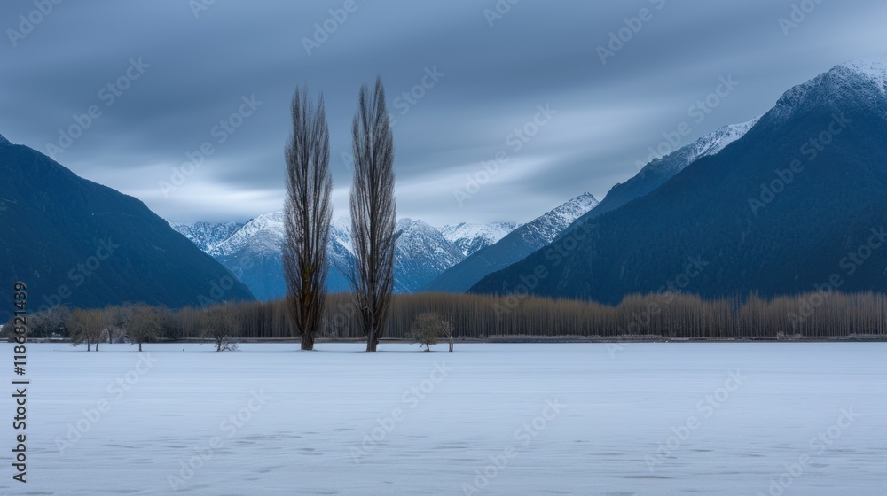 Poster two bare trees stand alone in a snowy field, with mountains in the background under a cloudy sky.