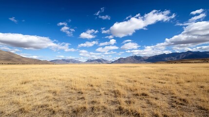 Golden Grassy Plains under Blue Sky with White Clouds and Distant Mountains : Generative AI