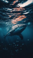 Fototapeta premium Majestic Great White Shark Glides Gracefully Through Deep Blue Ocean Water, Surrounded By Fish