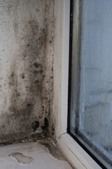there is black mold on the window and drops of water on the glass. vertical