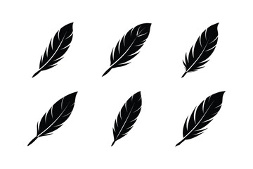 set of Feather Icon Silhouette on White Background