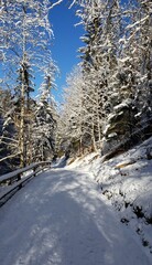 Winterlandschaft in den Alpen 