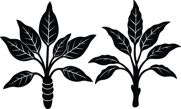 black leaves plants on white background clip art preview